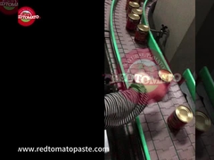 Κονσερβωμένη τριπλή συμπυκνωμένη ζύμη ντομάτας 425g σκληρό ανοιχτό καπάκι ανά κονσέρβα