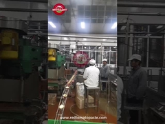 Κονσερβοποιημένη πάστα ντομάτας