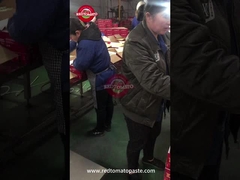 Κονσερβοποιημένη ντομάτα